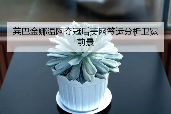 莱巴金娜温网夺冠后美网签运分析卫冕前景